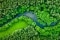 A river runs through a heavily forested area